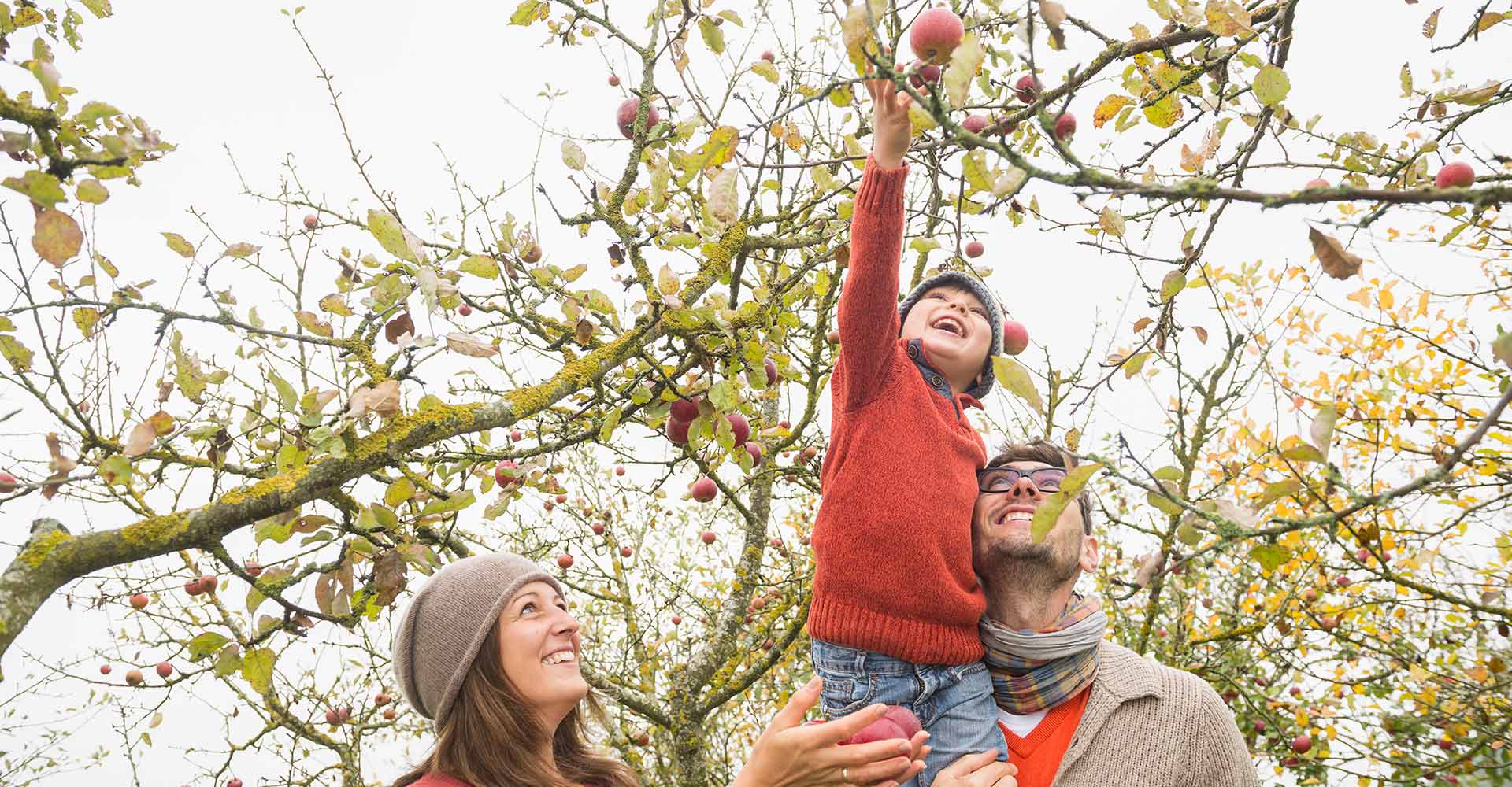 Health markets family nutrition